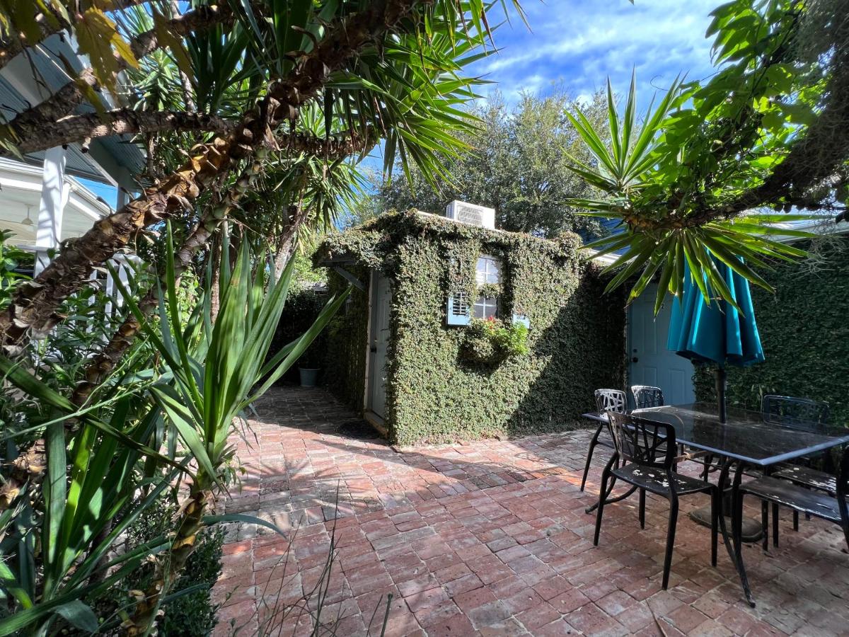 Palm Suite - View